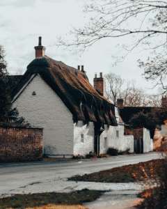 Read more about the article Managing Jackdaws in Your Chimney: A Cambridge Homeowner’s Guide