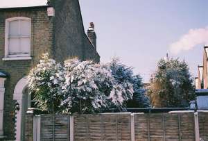 Read more about the article Pre-Winter Chimney Sweep Guide: Essential Maintenance for Cambridge Homes