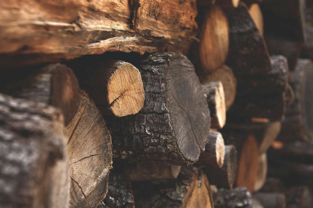 Properly seasoned hardwood logs showing end grain cracks and dry preparation, ideal fuel for safe first fire lighting with less than 20% moisture content