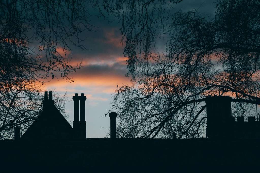 Understanding and Preventing Chimney Fires A Professional Guide
