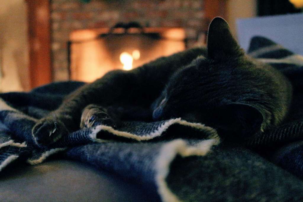 Why Annual Chimney Sweeping is Essential for Your Home's Safety