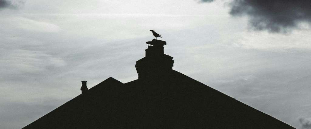 Dramatic silhouette of bird perched on chimney stack against stormy sky, demonstrating wildlife attraction to chimneys requiring professional nest removal in September