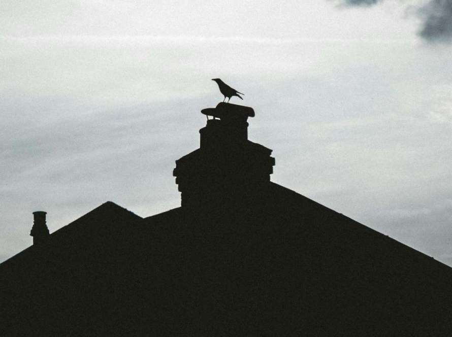 Dramatic silhouette of bird perched on chimney stack against stormy sky, demonstrating wildlife attraction to chimneys requiring professional nest removal in September