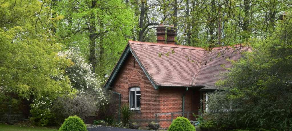 The Environmental Impact of Your Fireplace: Making Greener Choices for Sustainable Home Heating