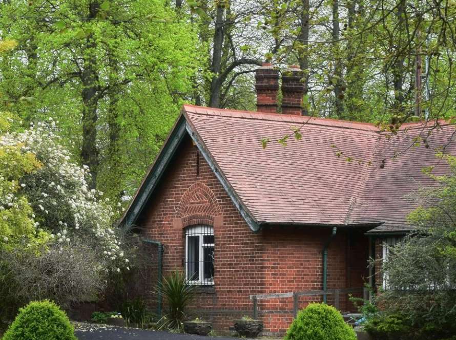 The Environmental Impact of Your Fireplace: Making Greener Choices for Sustainable Home Heating