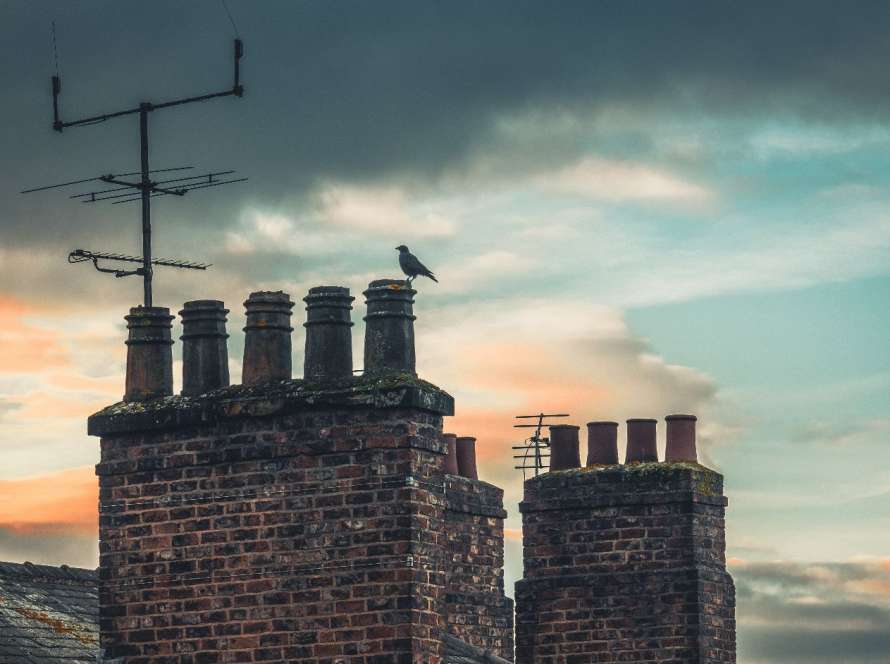 Autumn evening sky over traditional brick chimney stacks with bird perched on roof, showing typical Cambridge properties requiring seasonal chimney maintenance as part of autumn household preparation