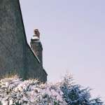 Chimney Fires Warning Signs You're Burning Too Cool or Too Wet