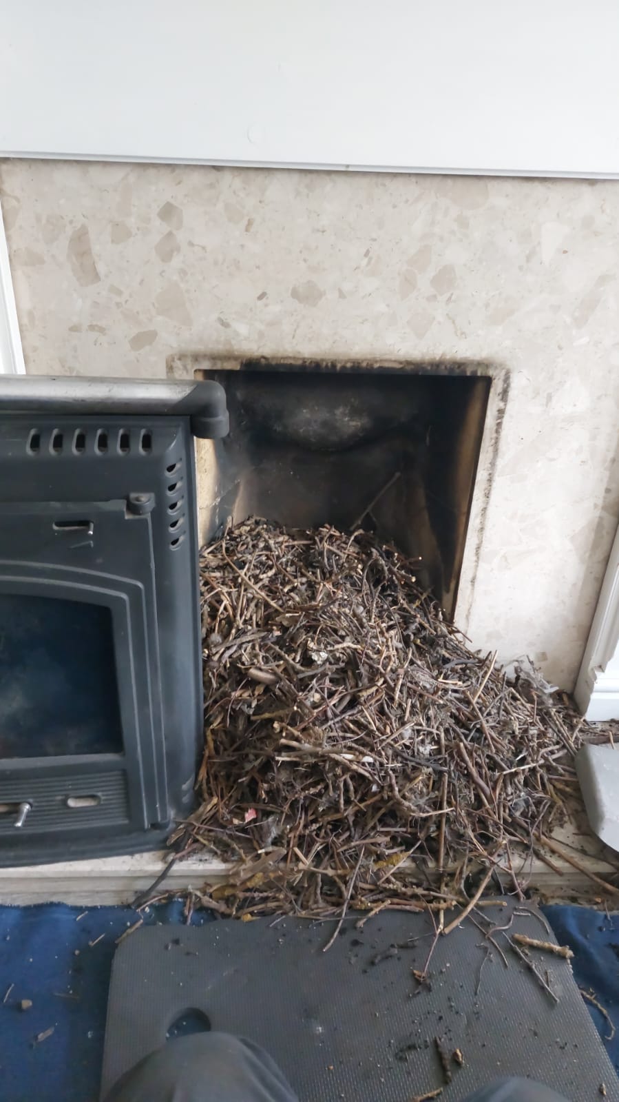 Large bird nest removed from a chimney beside a stove