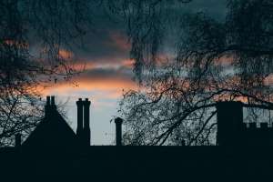 ELY 1 (1)